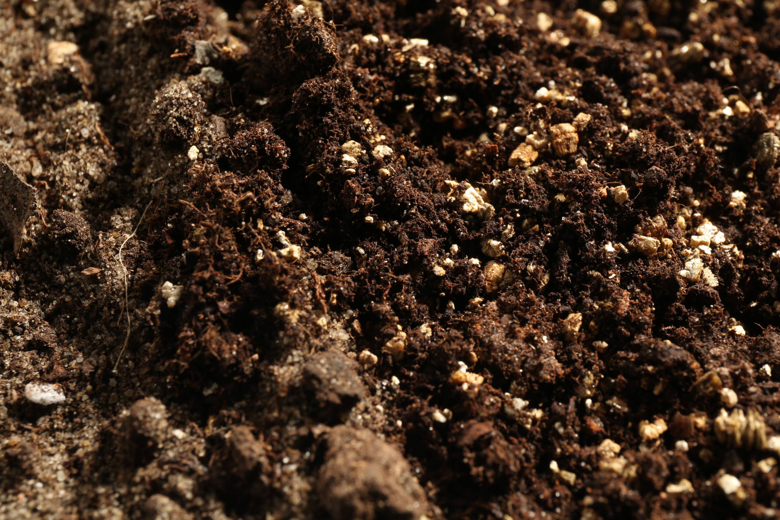 Potting Soil